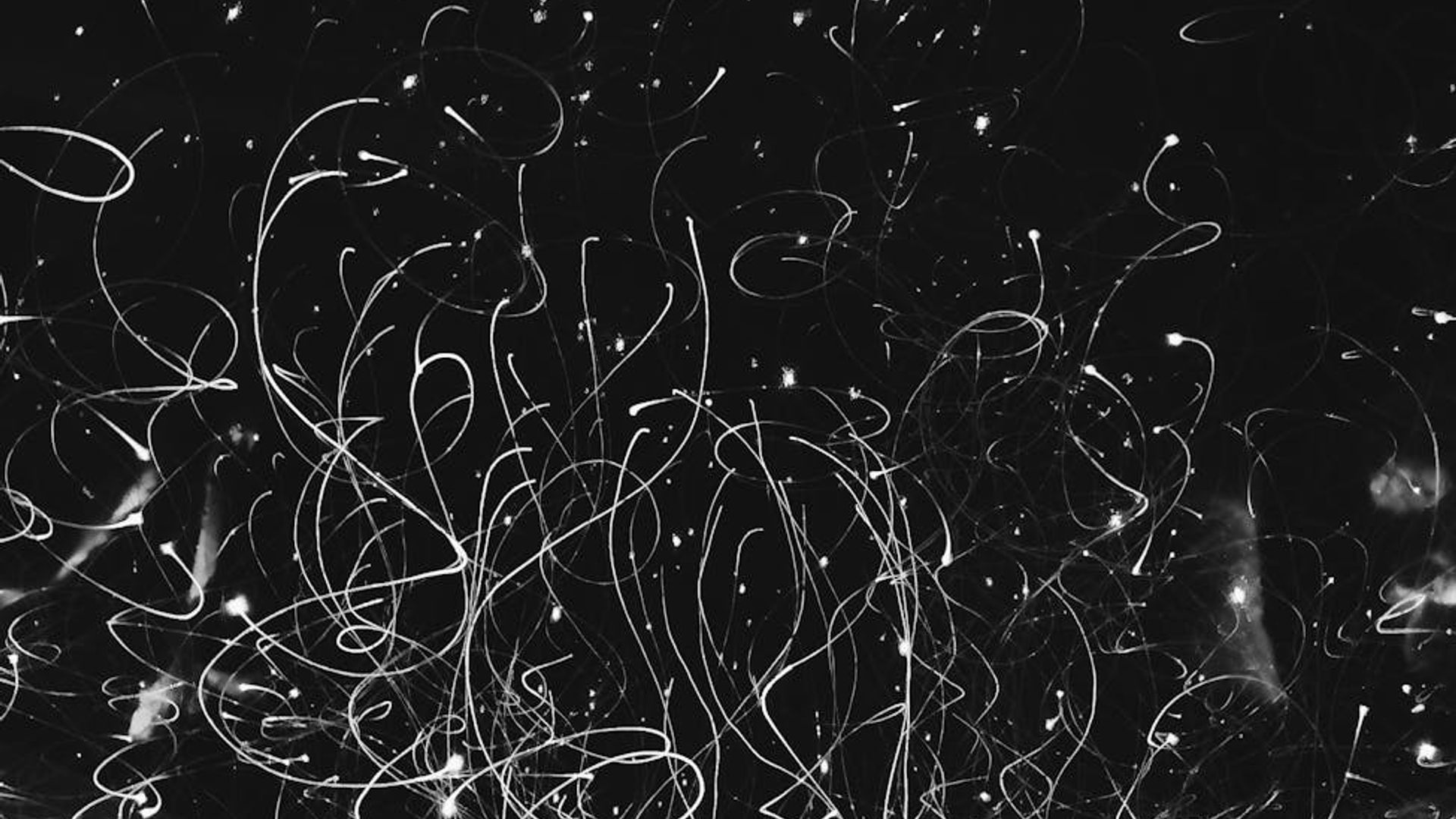 Abstract representation of fluid motion with light trails.