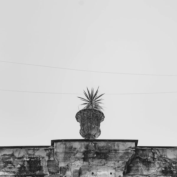 Minimalist decor element like a smooth stone or plant.